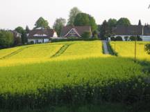 mehr Bilder in der Fotogalerie