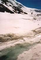 Columbia Icefield am Icefields Parkway, Jasper NP