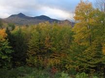 Motiv am Kancamagus Scenic Byway