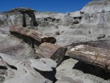 Sawmill in den Bisti Badlands