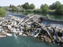 Idaho Falls