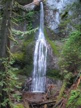 Marymere Falls, Olympic NP