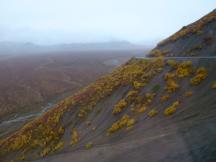 Park Road im hinteren Teil des Denali NP